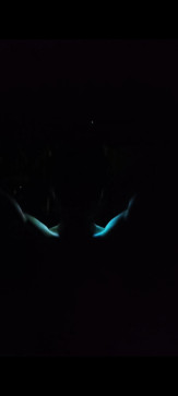 Prathamesh, 25, India