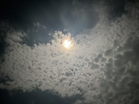 Any Confessions, 23, India