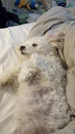 James Nook, 28, Sweden