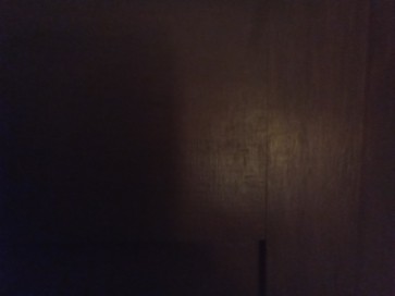 Cindy, 18, United States