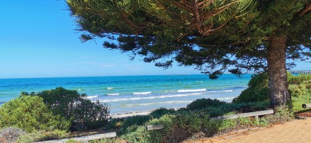 BlueEyes, 35, Australia