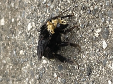 Edgy99, 21, United States