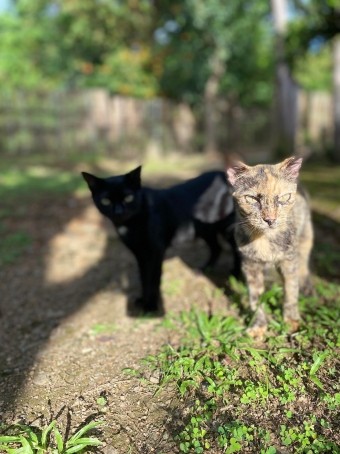 Dee, 27, Philippines