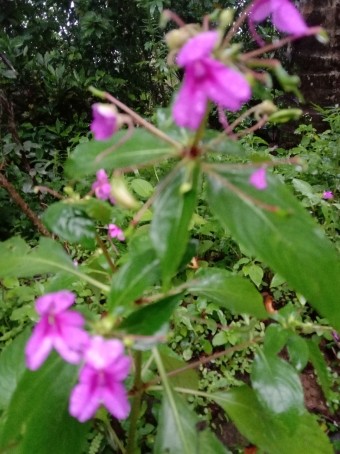 Winwyn Fernandez, 25, India