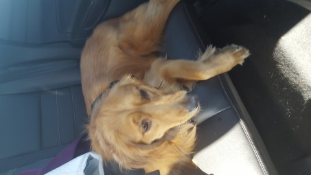 Zachary , 21, United States