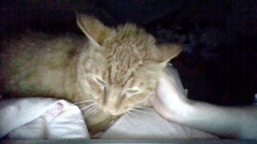 Megan, 18, United States