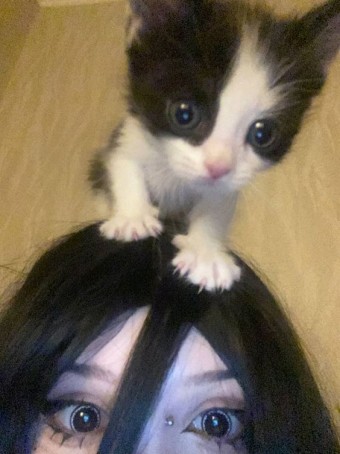 JazLyn, 19, United States