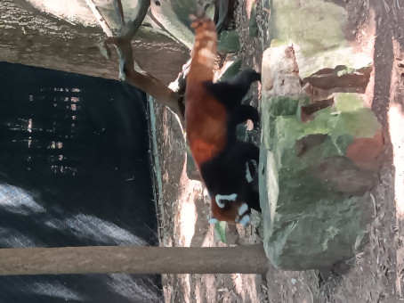 Sweetness, 39, United States