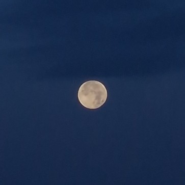 Sim, 22, United Kingdom