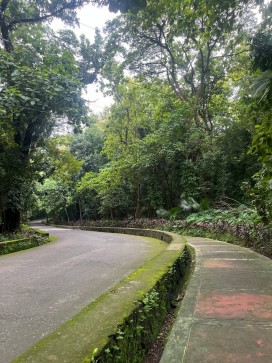 Jane, 18, Philippines