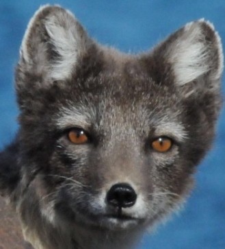 Jack, 64, United Kingdom