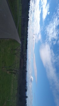 Looking For FWB, 29, Germany