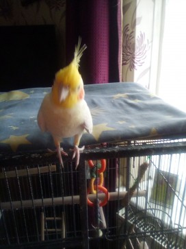 Valerie, 33, United Kingdom