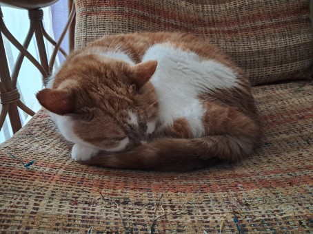 Adam, 21, United Kingdom