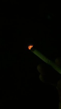 Luke, 18, United States