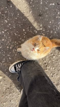 Itsokaytonotbeokay, 90, India