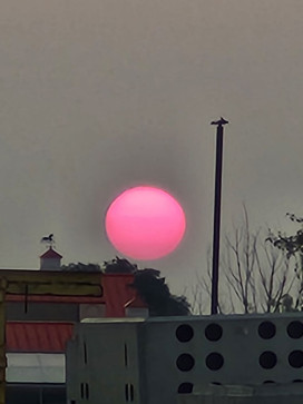 Aurora, 19, United States