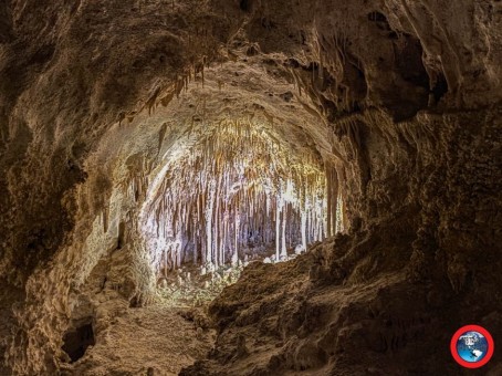 Migs, 46, United States