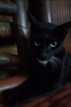 Mary, 24, Philippines