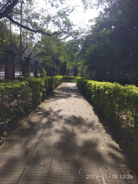 Diving_beluga, 28, India