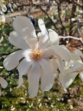 Sam, 20, United States