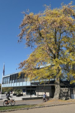 Lars Bo, 44, Denmark