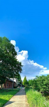 ROMANTIC XOXO 69, 20, India