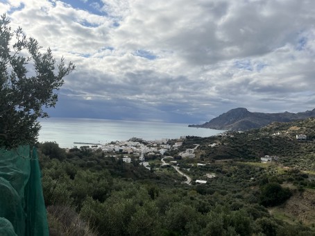 Lally Singh, 18, Greece