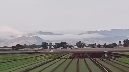 Carleeeee_b, 32, United States