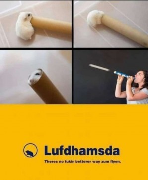 Motor Boat, 27, Germany