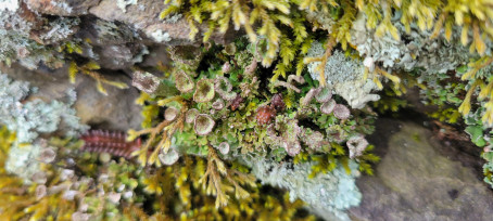 Cooper, 18, United States