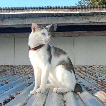 Marian, 27, Philippines