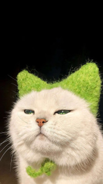 Phroom, 32, Philippines