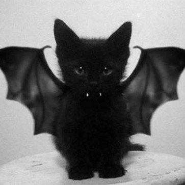 GiftLovingGirl, 18, United States