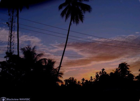 Masalai, 32, Papua New Guinea