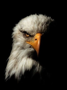 Paul, 24, United States