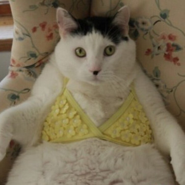 NaiLong, 99, Tajikistan