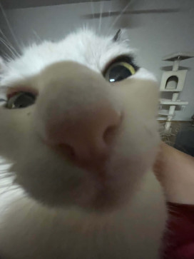 Natalie X3, 18, Slovakia