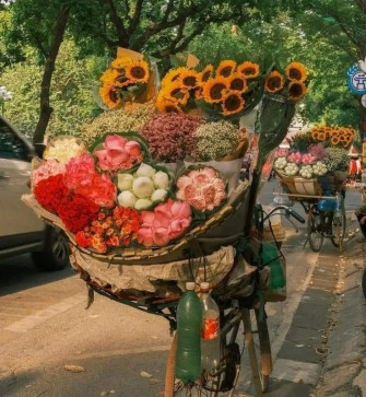 Gargi Singh, 19, India