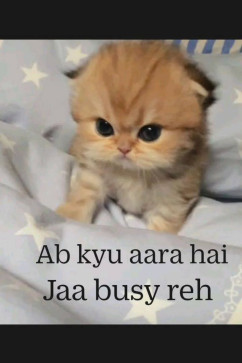 Hippiie23, 24, India