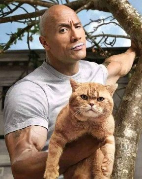 John, 28, United Arab Emirates