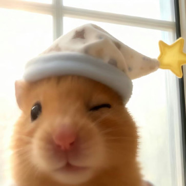 Aastha Sharma, 99, India