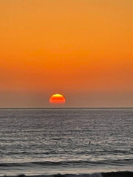 Pat, 58, United States