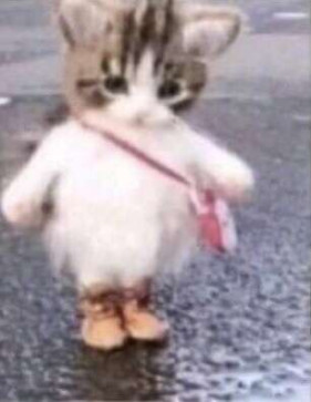 Feeemale, 18, Finland