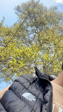 ASRAR MIR, 19, India