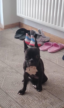 Anishupadhyay_1, 20, Serbia