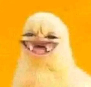 ENMOUTFINOUNA, 27, Tunisia