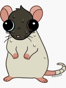 Sam_13, 19, United States