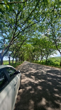 Hersheyezzz, 22, India