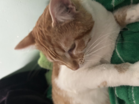 Crystal Perez, 18, United States